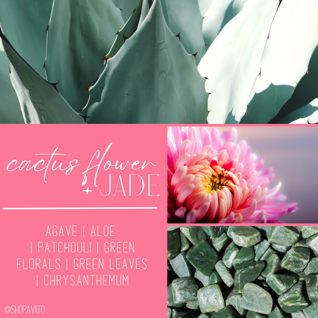 Cactus Flower + Jade Room + Linen Mist