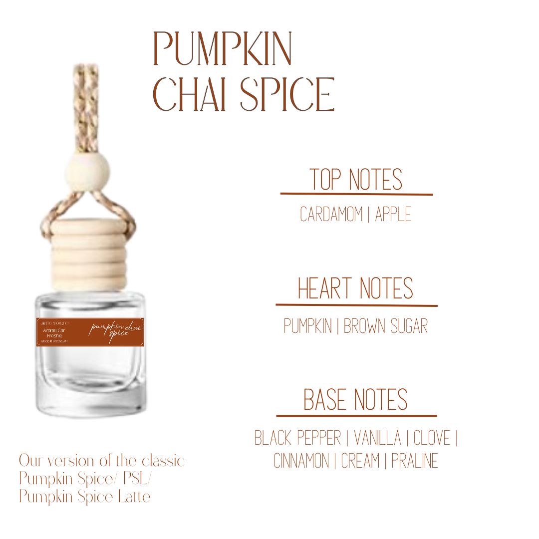 Pumpkin Chai Spice - Car Freshie